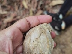 -黄埔油麻山森林公园