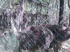 -草根堂农场