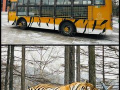 -横道河子东北虎林园