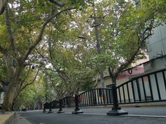 -老吉士酒家(天平路店)