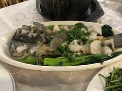 -廣味潮鲜·一品潮滋味(五道口店)