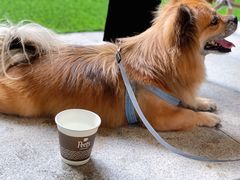 -Peet's Coffee皮爷咖啡(万象天地店)