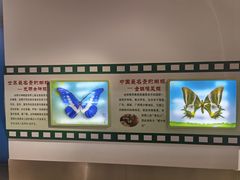 -上海昆虫博物馆