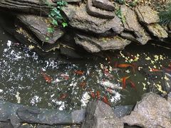 -古韵轩·江浙融合菜(梁溪店)