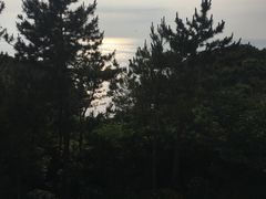 -滨千鸟之汤 海舟