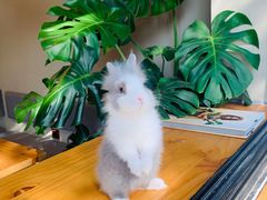 -小意思咖啡店(草桥店)