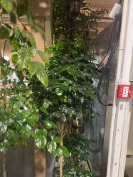 -特味村·宴会厅(生态园店)