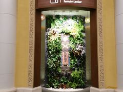 -厦门日月谷温泉渡假村