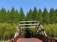 -黄海国家森林公园