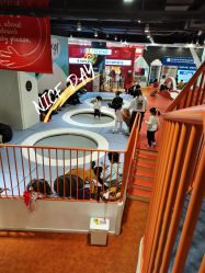 -Eureka优瑞卡儿童主题乐园(合生汇购物中心店)