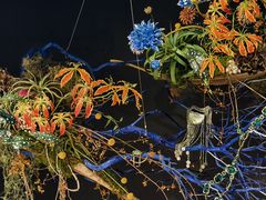 -上海鲜花港