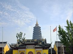 -常鲜德乐购迎桂馒头店(麻巷公寓店)