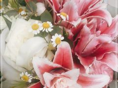 -FEI FEI FLOWER鲜花店·气球派对·宝宝宴布置(虹口德必运动Loft店)