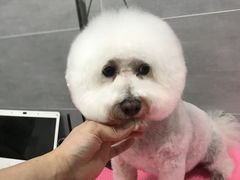 -宠福鑫康馨动物医院·骨科·眼科