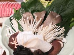 -额尔敦传统涮(光明路店)