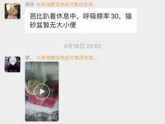 -瑞鹏宠物医院·宠保定点·心脏科·内科(御桥分院)