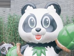 -都江堰中华大熊猫苑