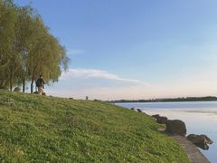 -丁香湖公园