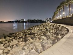 -宝安西湾红树林湿地公园