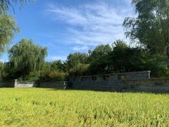 -北坞公园