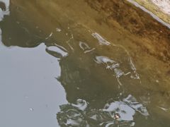 -晓港公园