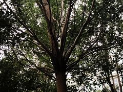 -黑龙江大学