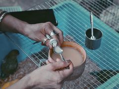 -桂林市花鸟市场