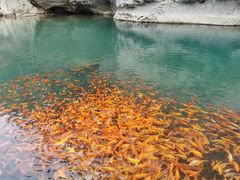 -楠溪江风景名胜区