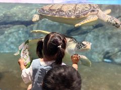 -福州罗源湾海洋世界旅游区