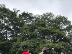 -东莞植物园