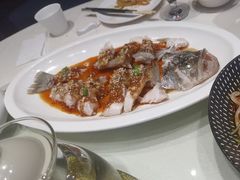-飞鹿餐饮·陕南菜(北关店)