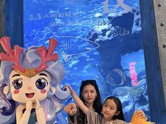 -海合安武汉极地海洋公园
