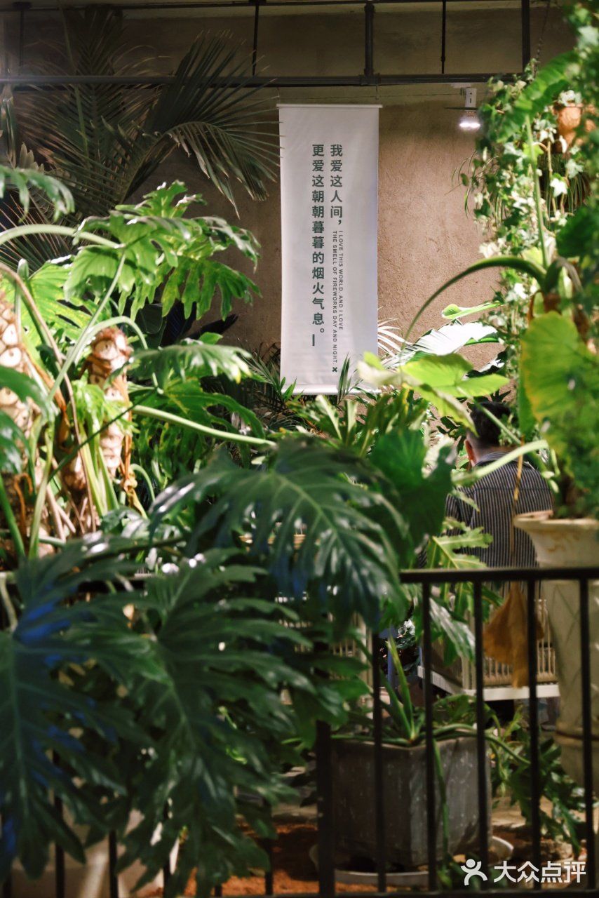 丽江篇·青春环游记同款木屿.废墟餐厅