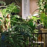 丽江篇·青春环游记同款木屿.废墟餐厅