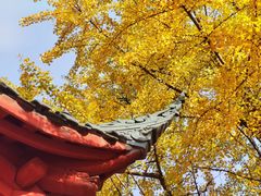 -古大圣慈寺