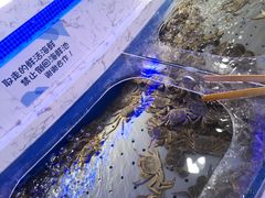 -澜悦港海鲜体验主题餐厅