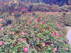 -人民公园(罗湖区)