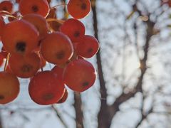 -南京枫彩漫城