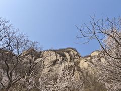 -北京凤凰岭