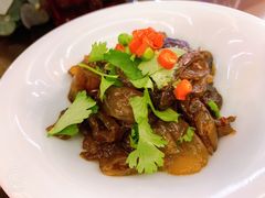 -诺莱仕游艇会