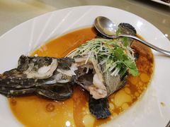 -阿锋鲍鱼酒家美食汇(华安店)