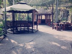 -幽岚山·童话森林