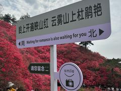 -木兰云雾山