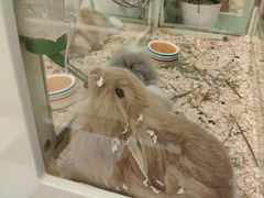 -龙猫仔乐园(惠福东路店)