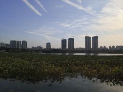-月湖风景区