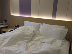 -麗枫酒店(广州区庄地铁站店)