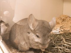 -龙猫仔乐园(惠福东路店)