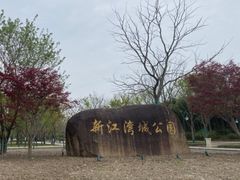 -新江湾城公园