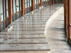 -汤泊温泉度假村