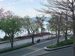-ommo cafe(半岛城邦店)